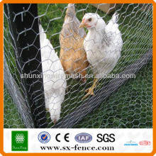 Hexagonal decorative chicken wire mesh(ISO9001:2008 professional manufacturer)